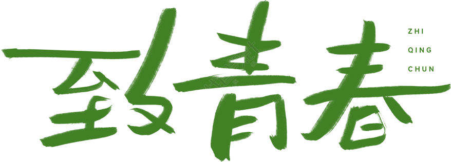 致青春