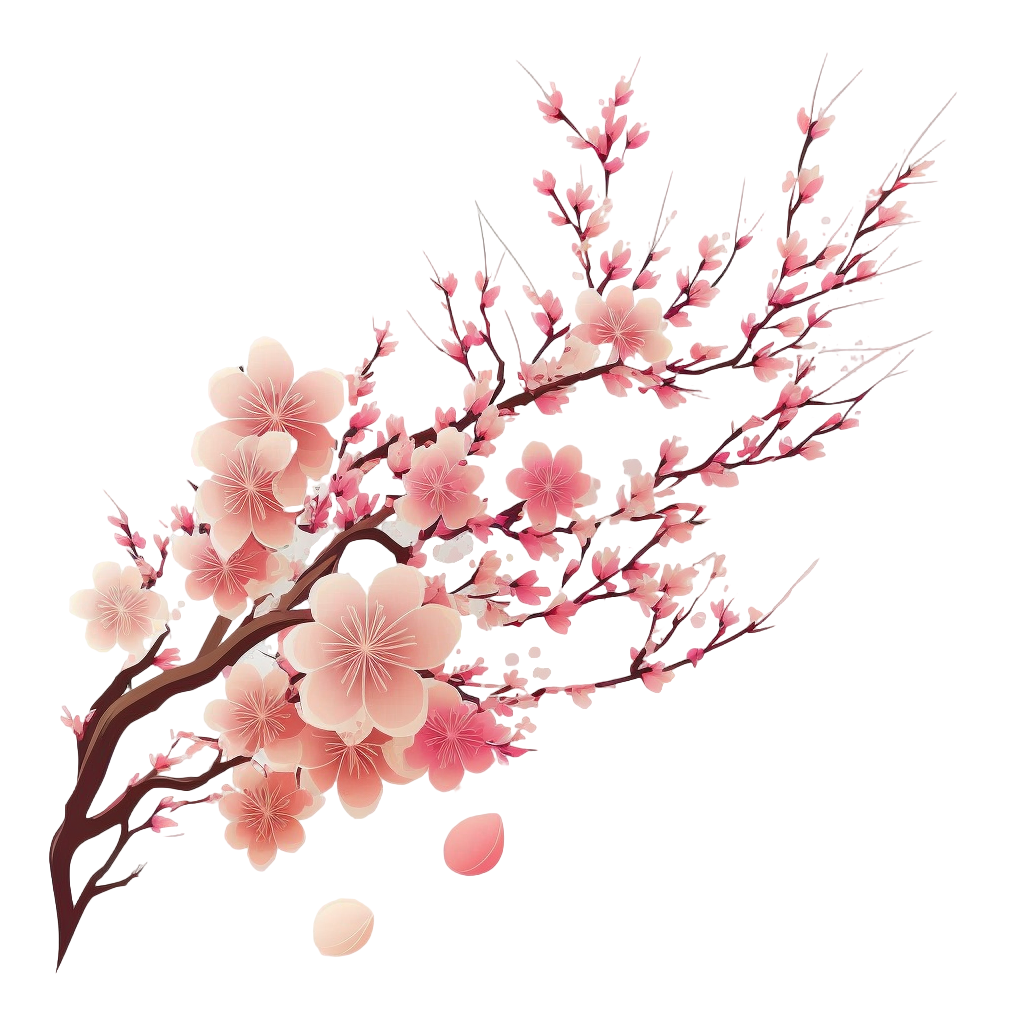 樱花分枝手绘插画