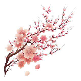樱花分枝手绘插画