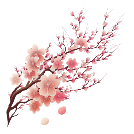 樱花分枝手绘插画
