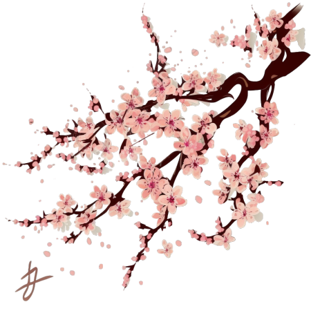 粉色樱花插画PNG素材