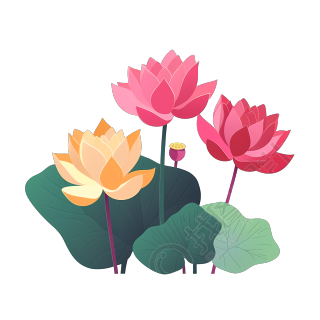 扁平化插画设计元素-荷花PNG素材