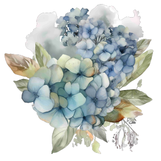 水彩风淡雅蓝色绣球花插画PNG素材