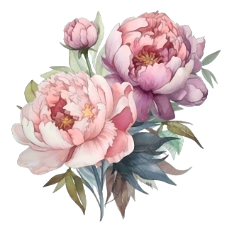 柔和色调牡丹花束PNG图形素材