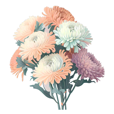 手绘石菊花束矢量素材