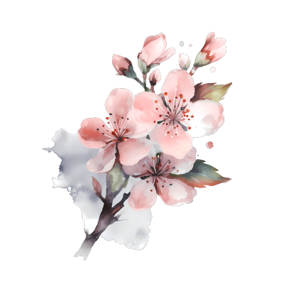 粉色樱花水彩插画PNG素材