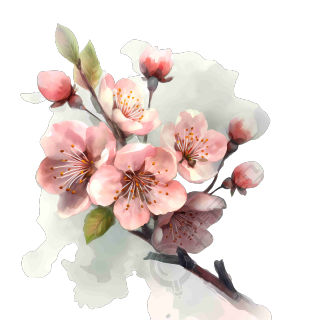粉色樱花水彩插画PNG素材