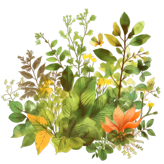春季绿意植物白底PNG高清素材