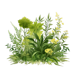 春意盎然的绿色植物插画PNG素材