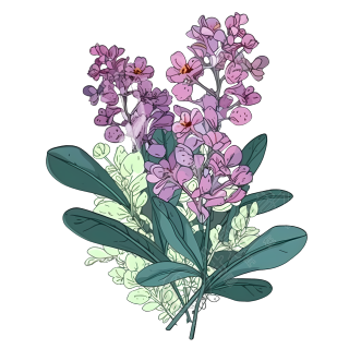 透明背景花粉紫叶绿平面插画设计素材