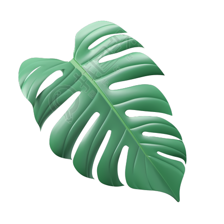 梧蕉叶柔和色彩3D素材PNG