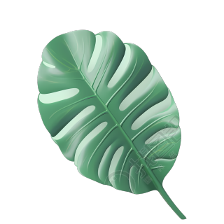 芭蕉叶柔和色调图形设计素材