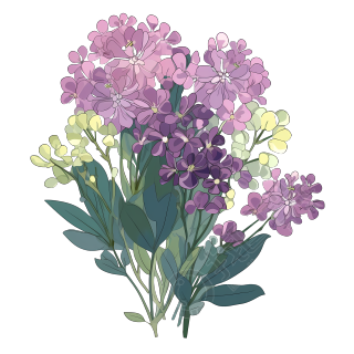 粉紫色鲜花叶子绿渐变古董墨水扁平插画
