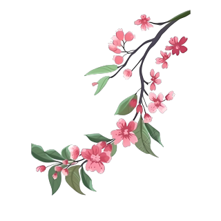 渐变墨水风格粉色花朵绿叶平面插画
