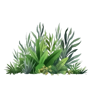 卡通唯美绿色草丛插画商用png