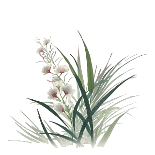 浪漫淡雅兰花草PNG图形素材
