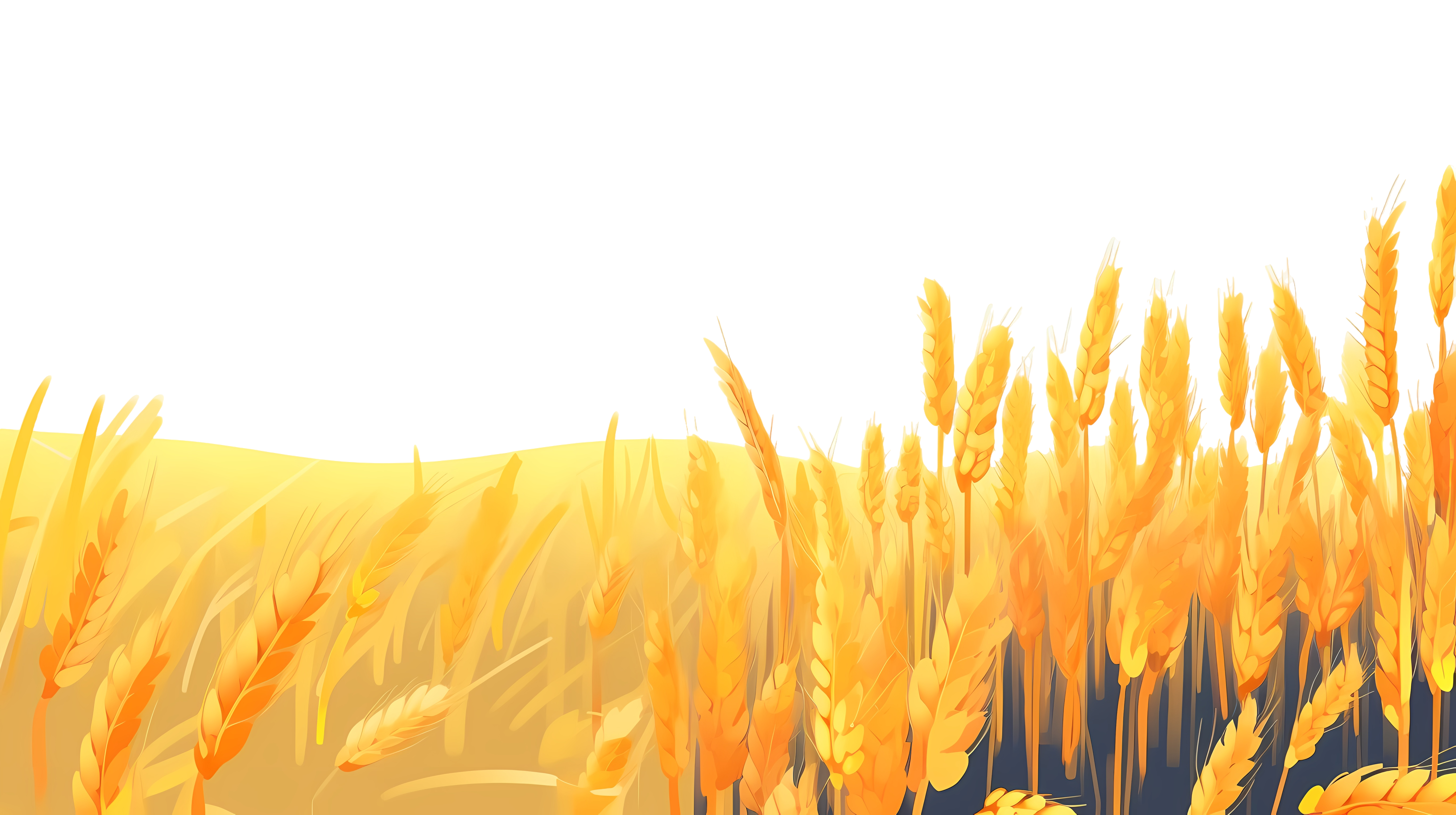 收获季节金黄的小麦插画