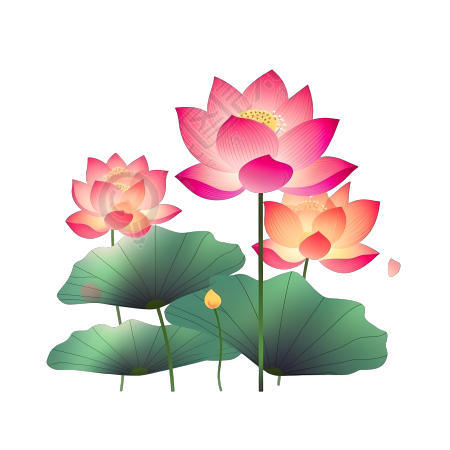 手绘绿色荷叶粉色渐变荷花插画