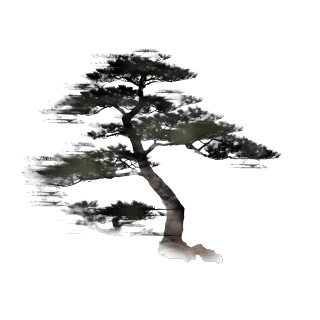 古风墨渐松树PNG图形素材