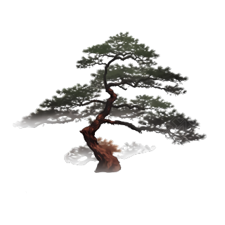 高清透明背景松树墨渐图形插画设计素材