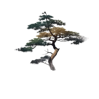 古风墨渐松树PNG素材