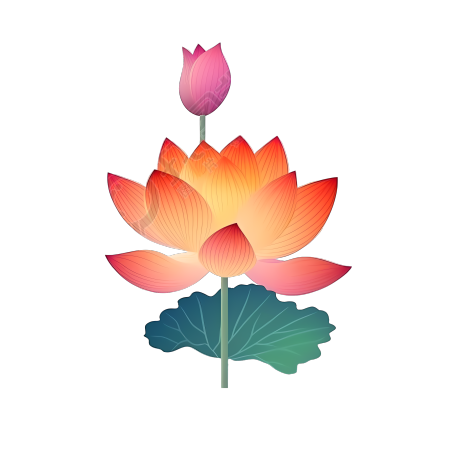 卡通莲花花苞插画商用素材