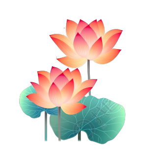夏日莲花莲叶工笔画素材
