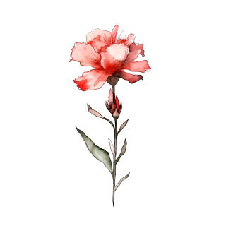 古风墨渐小红花PNG插画素材