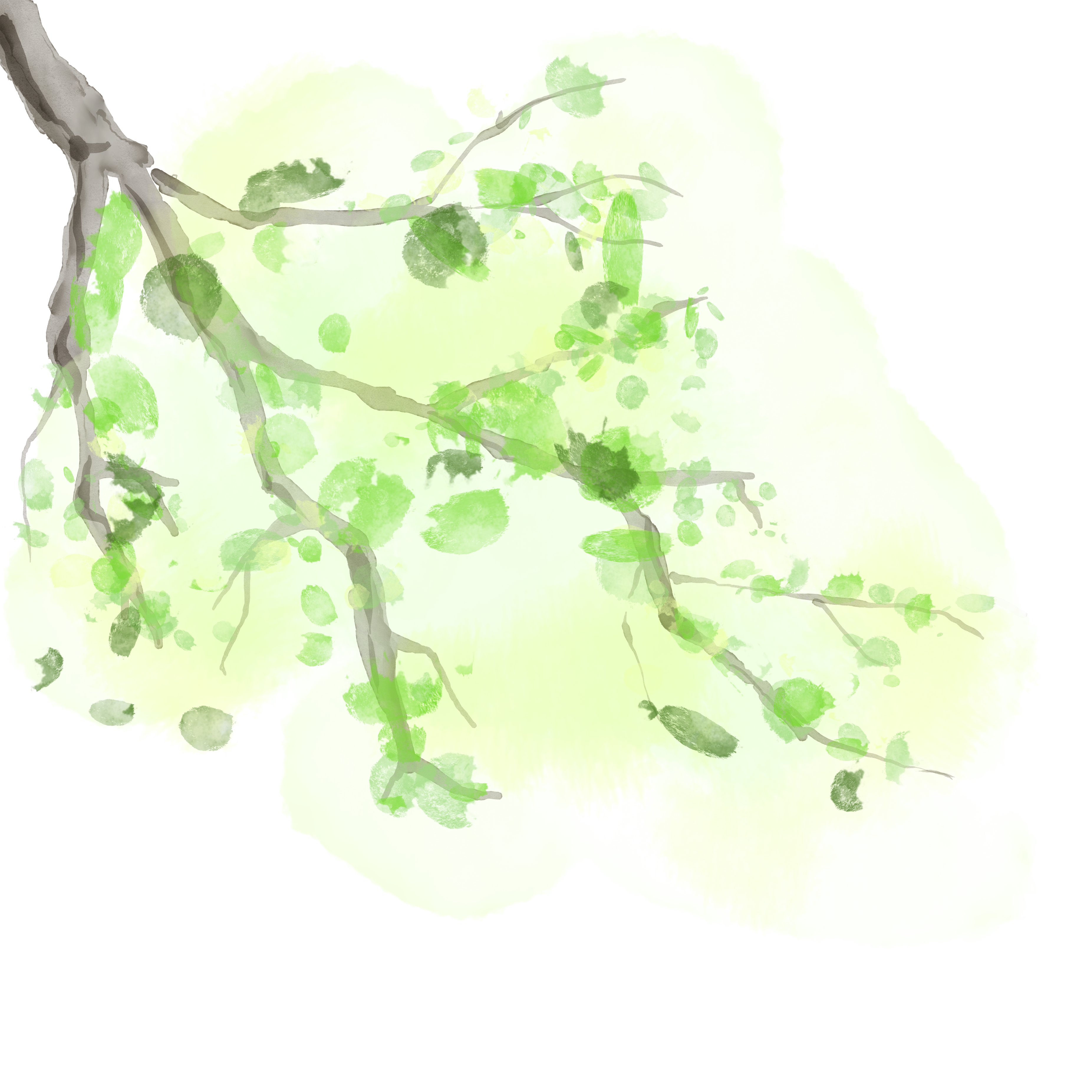 树枝绘画图片如何制作