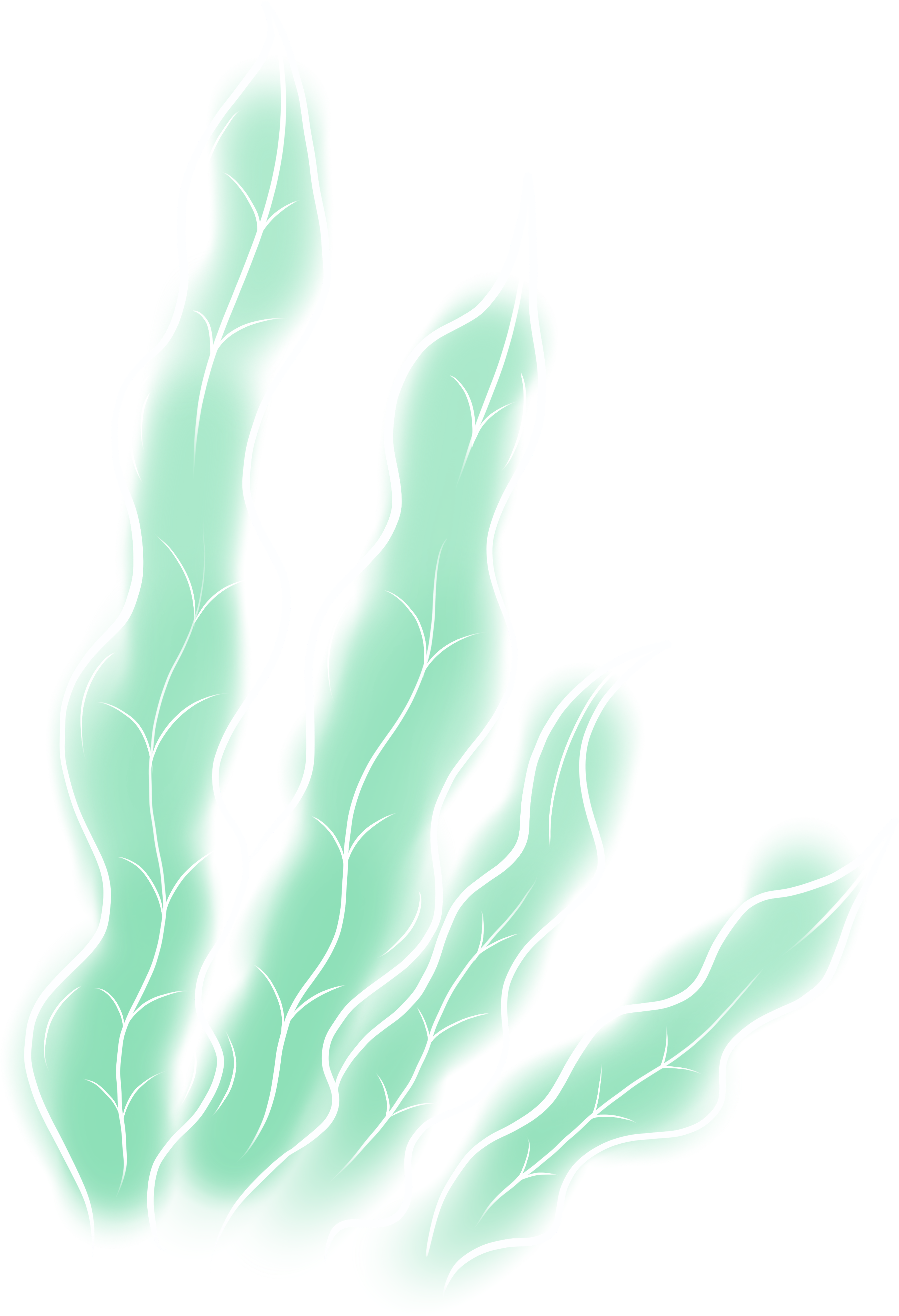 手绘浅绿色海草PNG插画