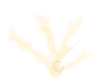 浅黄色珊瑚海洋生物PNG素材