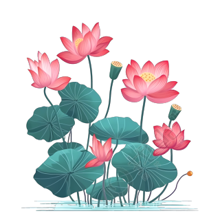 扁平化风格莲花插画设计素材