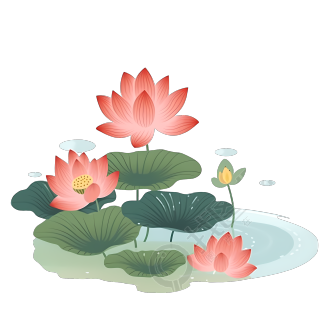 手绘荷花插画PNG素材