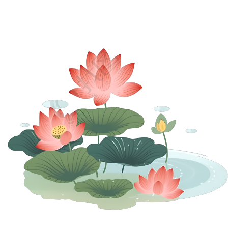 手绘荷花插画PNG素材