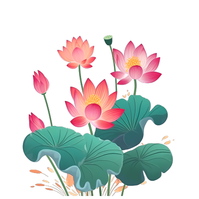 水生植物唯美荷花莲蓬插画