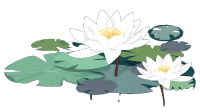 水莲花高清插画设计商业元素