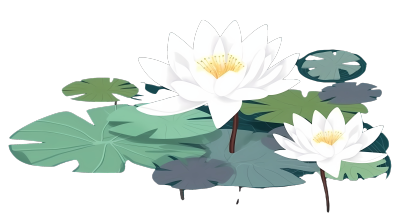 水莲花高清插画设计商业元素