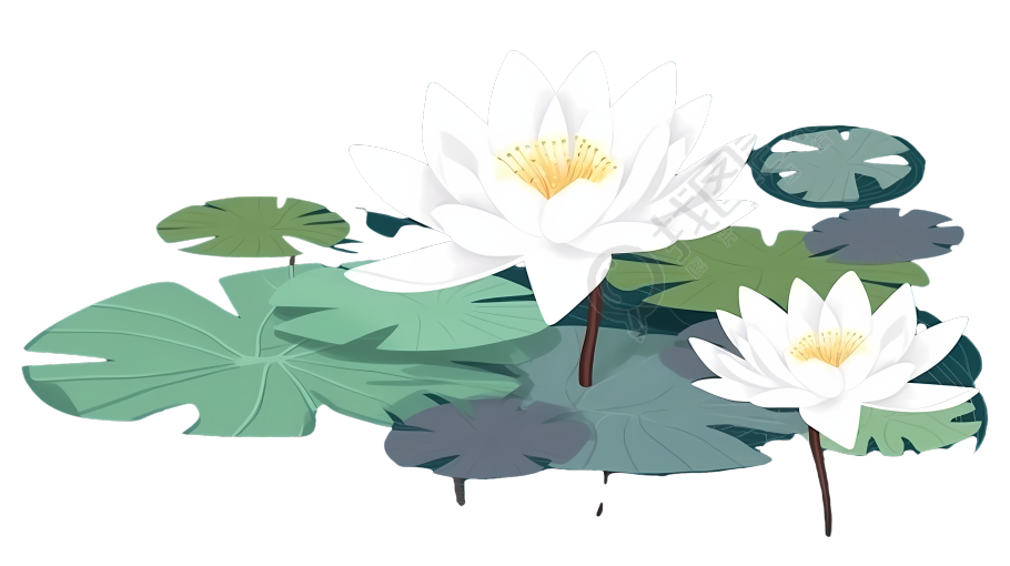 水莲花高清插画设计商业元素