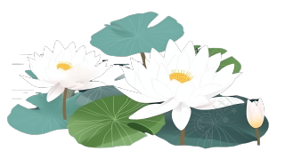 清新莲花插画设计元素