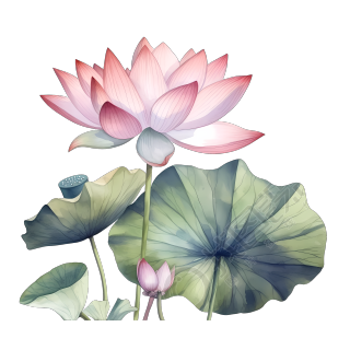 盛开的荷花与蜻蜓光粉渐变平面插画