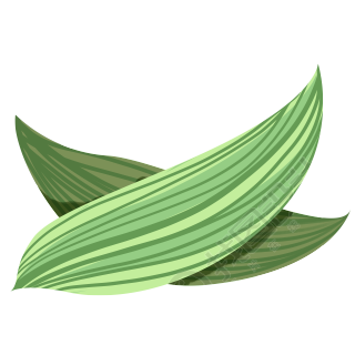 两片粽叶卡通插画元素