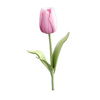 可爱的郁金香花苞png素材