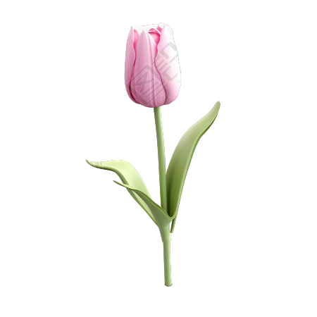 可爱的郁金香花苞png素材