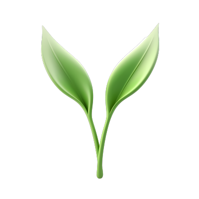 唯美立体两片绿植叶子素材