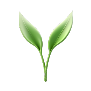 唯美立体两片绿植叶子素材