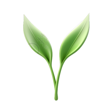 唯美立体两片绿植叶子素材
