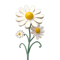 3D立体白色雏菊png素材