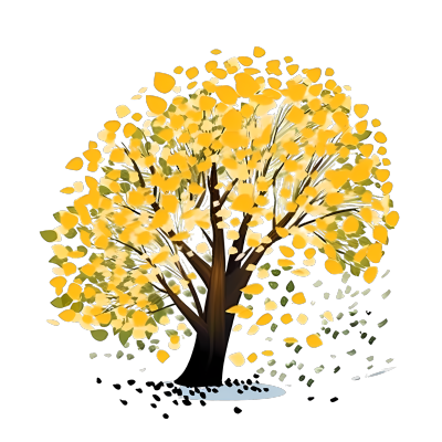 透明背景银杏树插画设计素材