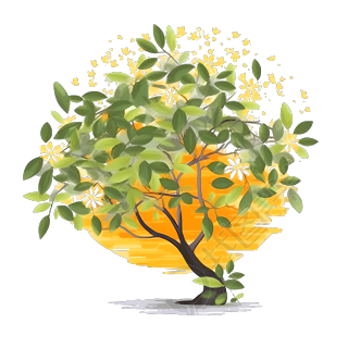可商用桂花树矢量插画