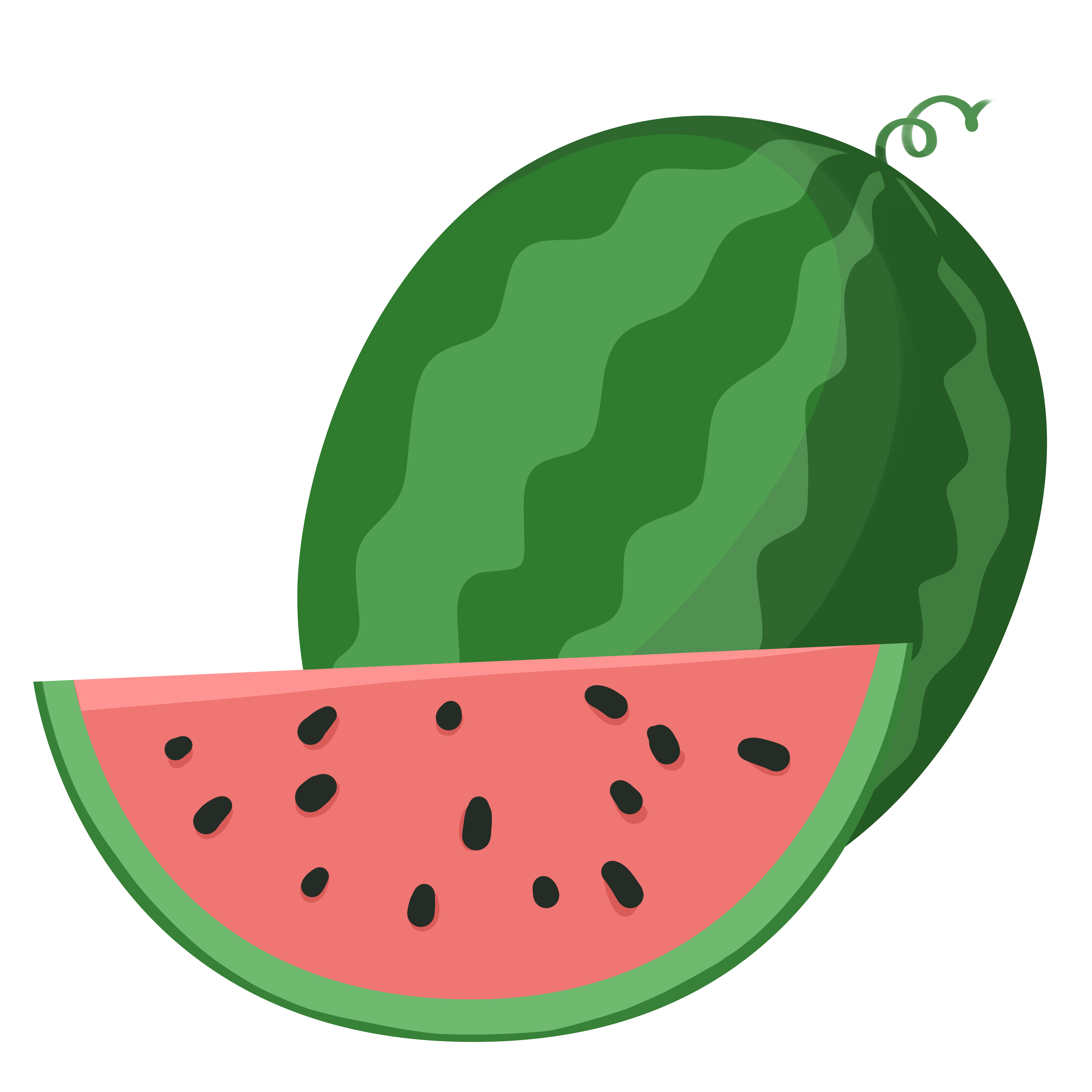 西瓜插画教程如何绘制